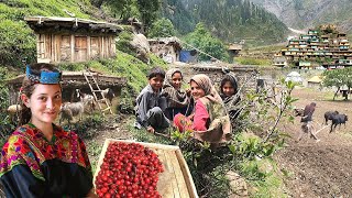 Unseen Pakistani Village Life at Top of Coldest Mountain  Ancient Culture  Stunning Pakistan [upl. by Euqirne]