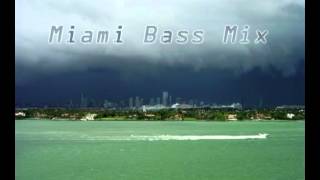 Leeroy Thornhill  Miami Bass Mix [upl. by Okia]