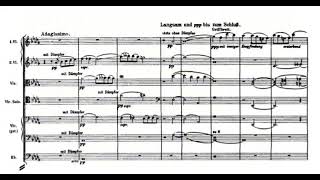 Mahler 9th Symphony  Coda Score IV Adagio [upl. by Euqilegna]