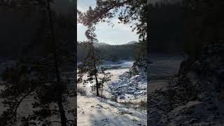 Videos from My Phone  Sunny Day in early December [upl. by Caz]