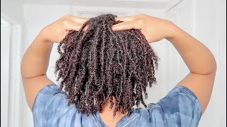 1 MONTH LOC UPDATE  MOISTURIZING ROUTINE  Finger Coil Starter Locs [upl. by Faber638]