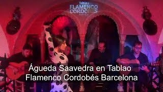 Agueda G Saavedra Jimenez bailando una Zambra en Tablao Flamenco Cordobes Barcelona [upl. by Yursa]