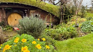 Saturday travel to HOBBITON tour 💛🦋 with Relaxation Music 🎶💛💚🤍 [upl. by Marl]