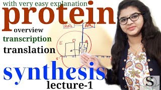 Protein synthesis \ dna transcription and translation \ protein synthesis from DNA lecture1 [upl. by Enoob]