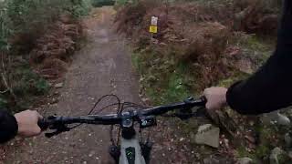 BikePark Wales  Trail video  Zut Alors Flow [upl. by Enuahs]