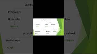 Classification of living organisms shortvideo biology science [upl. by Grenville]