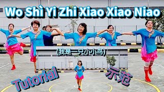 Tutorial示範 Wo Shì Yi Zhi Xiao Xiao Niao 我是一只小小鸟 LD Choreo Molly Yeoh MY April 2024 [upl. by Guthry]