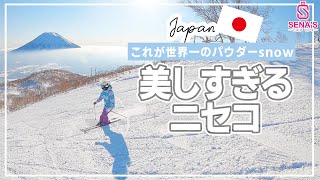 【ニセコ紹介】世界一の雪質！2022年世界を魅了するパウダースノー！ [upl. by Ycniuq330]