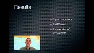 Glycolysis and Krebs [upl. by Anwad]