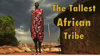 Meet The Tallest People in Africa  The Dinka People [upl. by Krantz601]