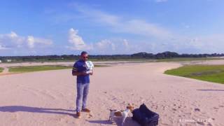 Medanos De Apure  Nikon 5200 y Dji Phantom 3 [upl. by Doggett]