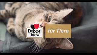 Doppelherz für Tiere [upl. by Potash]