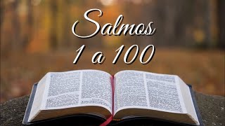 BÍBLIA SALMOS 1 A 100 [upl. by Hendren]