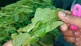 फ्रेश सरसों की भूँजिया रेसिपी । Fresh Sarson Bhoonjiya Recipe । Mustard Leaves Recipe [upl. by Cook]