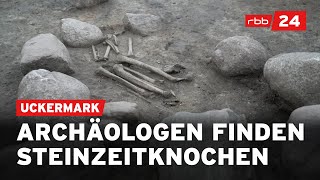 Steinzeitfund Archäologische Entdeckung in der Uckermark [upl. by Tsyhtema]