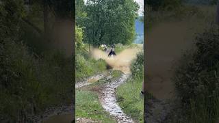 Tenere 700 Vs Deep Puddles check it out riders enduro adventuremotorcycle offroad [upl. by Azial]