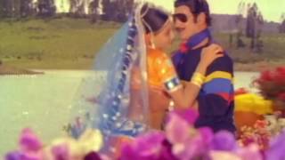 Ee Gaalilo Full Video Song  Agni Parvatam Movie  Krishna Radha Vijayashanti [upl. by Alpert815]