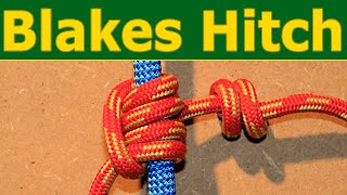 Blakes hitch knot  SRT climbing with the tree climbing classic [upl. by Anyrtak]