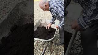 avoir plus de gazon astuce conseils gazon jardinage graine jardin naturelove herbe [upl. by Ronnholm]