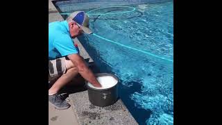 Craigs Quality Pool Service  Highfields Toowoomba [upl. by Nagirrek]