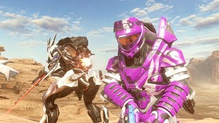 Some Halo 5 Firefight Assassinations in 4K [upl. by Kcirdle968]