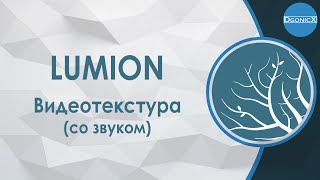 Lumion Видеотекстура со звуком субтитры [upl. by Leonelle]