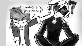 Plagg y Tikki  Miraculous Ladybug Comic Dub [upl. by Ladnyk679]