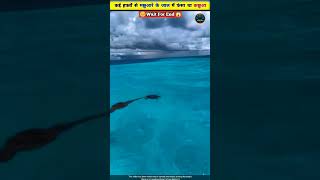 Jal me phasa kachua ko kiya aajadwaterfall shirtsvideo [upl. by Butterfield]