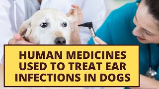 10 human medicines for dogs with ear infections and what are the dosages [upl. by Anawik]