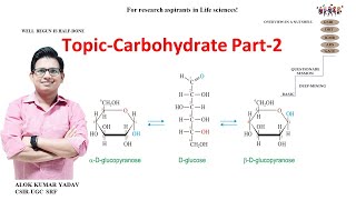 Carbohydrate Part2 Anomer Cyclization of Sugars Sugar acids and Alcohol Amino sugars jrf net [upl. by Yecats]