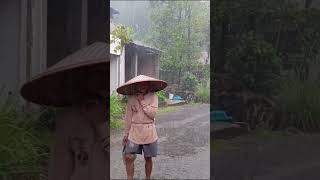 Extreme Rain in rural Indonesia Very heavy and cool rain asmr village heavyrain nature [upl. by Eelrebma]