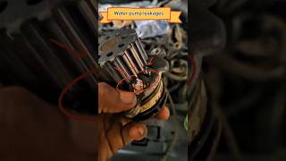 water pump replacement 🔧shortvideo automobile automobile viralvideo car viralreels modified [upl. by Iolande]