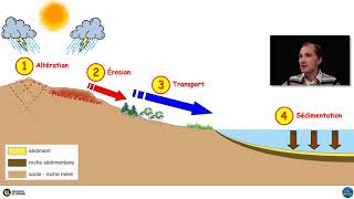 Le cycle des roches sédimentaires par Yann Hautevelle [upl. by Asela]