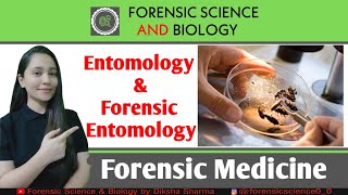 Introduction to Entomology amp Forensic Entomology [upl. by Rotow807]