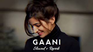 GAANI slowed  reverb Akhil punjabi slowed  Ishant slowed amp reverb [upl. by Aicenert7]