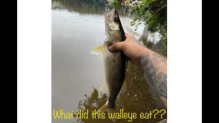 A good day fishing on the allegheny river [upl. by Boudreaux695]