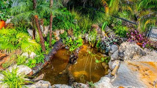 DIY Naturalistic Bog Filtered Garden Pond for Turtles [upl. by Lawson]