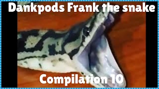 Dankpods frank the snake compilation 10 [upl. by Enitselec]