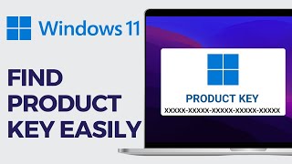 How To Find Windows 1011 Product Key 2024 EASY GUIDE [upl. by Rednazxela]