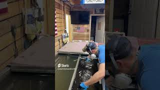 Hydro dipping a gun stock hydrodip whitetailbuck satisfying whitetaildeer shorts trending [upl. by Wincer]