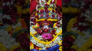 tara ma  tarapith  ma tara tarapithvlog tarapithmandir TarapithLive Tarapithmatara [upl. by Cindelyn]