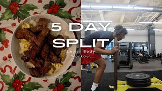 5 Day Workout Split  Lower Body Day 1 [upl. by Locke]