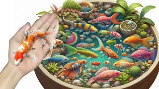 catching fish colorful fish goldfish koi fish betta fish turtles crabs catfish [upl. by Ausoj]