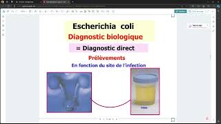 Bacteriologie  LEColi FMPC [upl. by Ihel771]