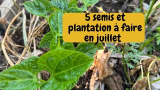 Plantation et récolte en juillet [upl. by Anaile]