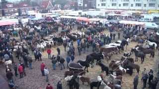 Paardenmarkt Goor 2013 [upl. by Reese484]