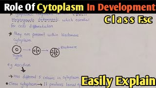 Protoplast amp Protoplasm  Difference between protoplasm amp Protoplast  Science Kaksha [upl. by Neenad558]