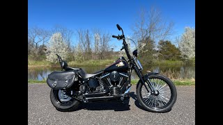 2008 HarleyDavidson Softail Springer Crossbones FLSTSB FLSTS w 13362 Miles  13995 [upl. by Casta]