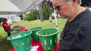 Stratford Farmers Market at Paradise Green [upl. by Pilar]