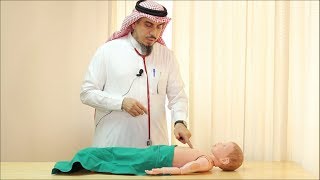 Pediatric Cardiovascular Assessment Physical Examination  Dr Zaher Faisal Zaher [upl. by Aliam460]